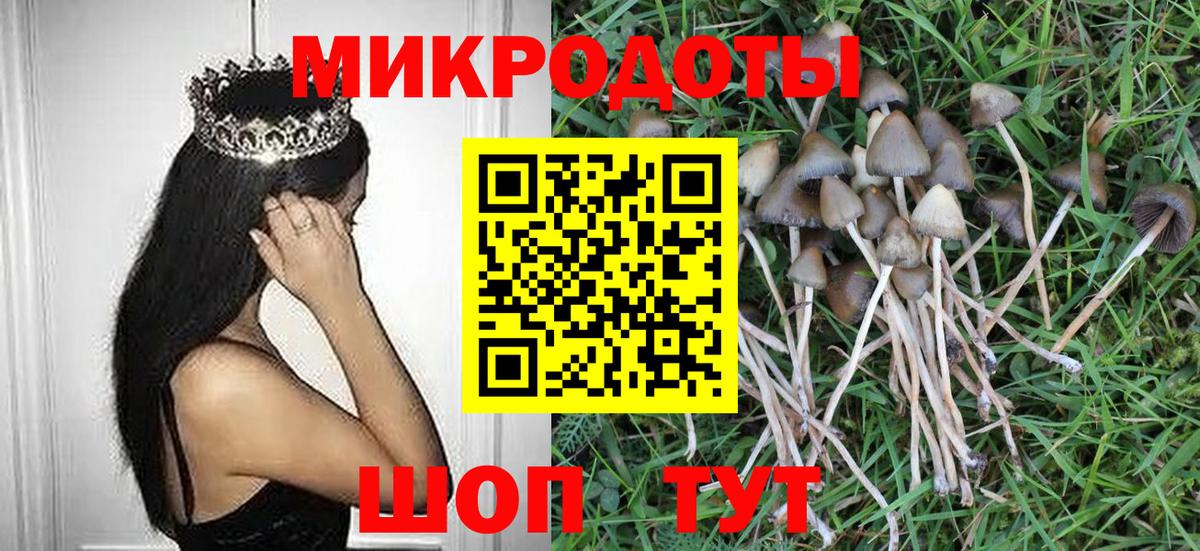 Псилоцибиновые грибы GOLDEN TEACHER  хочу   Татарск  Вход с VPN 